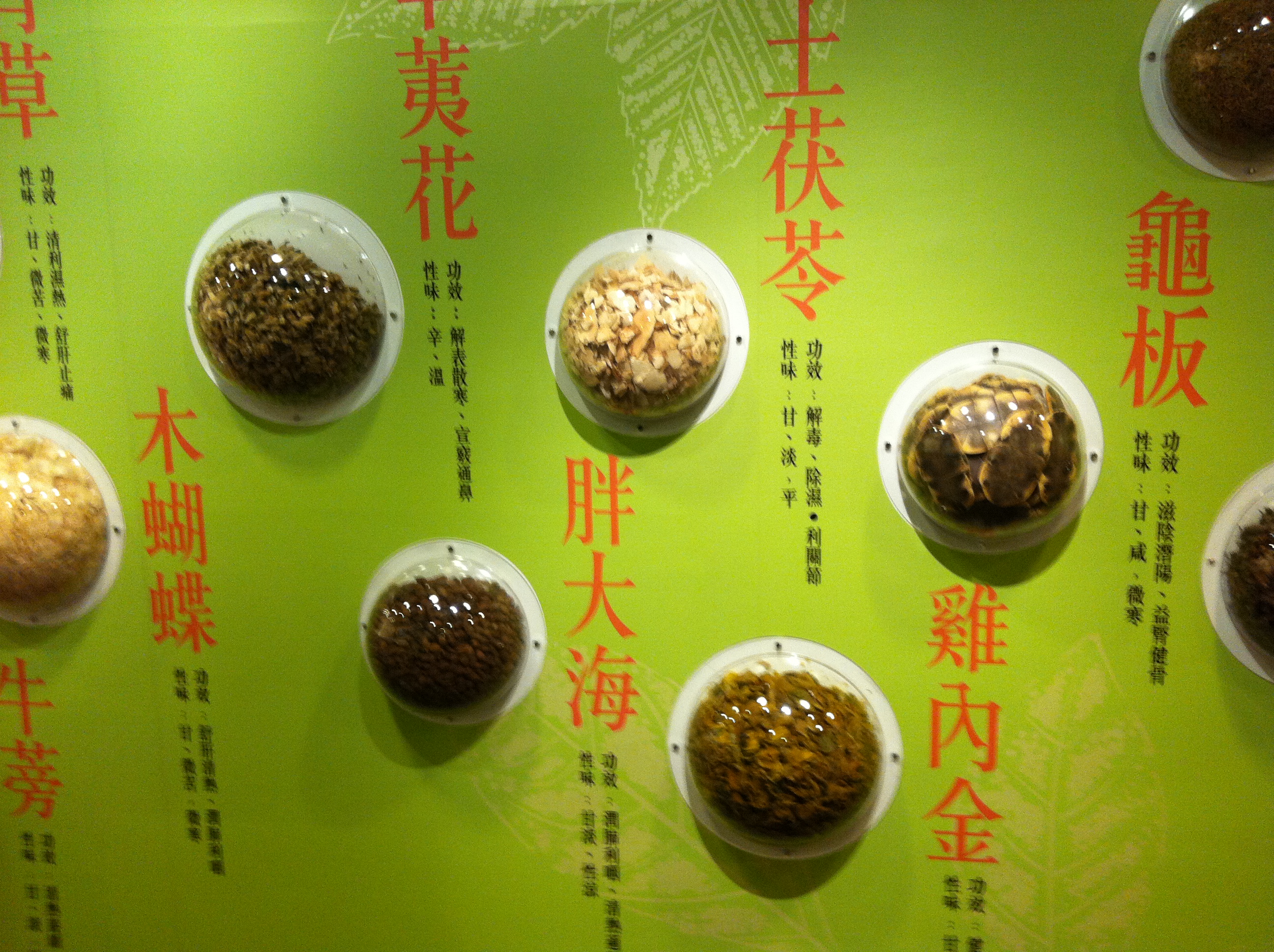 Visit to Hung Fook Tung Herbal Tea Cultural Museum in Tsuen Wan - Photo - 11