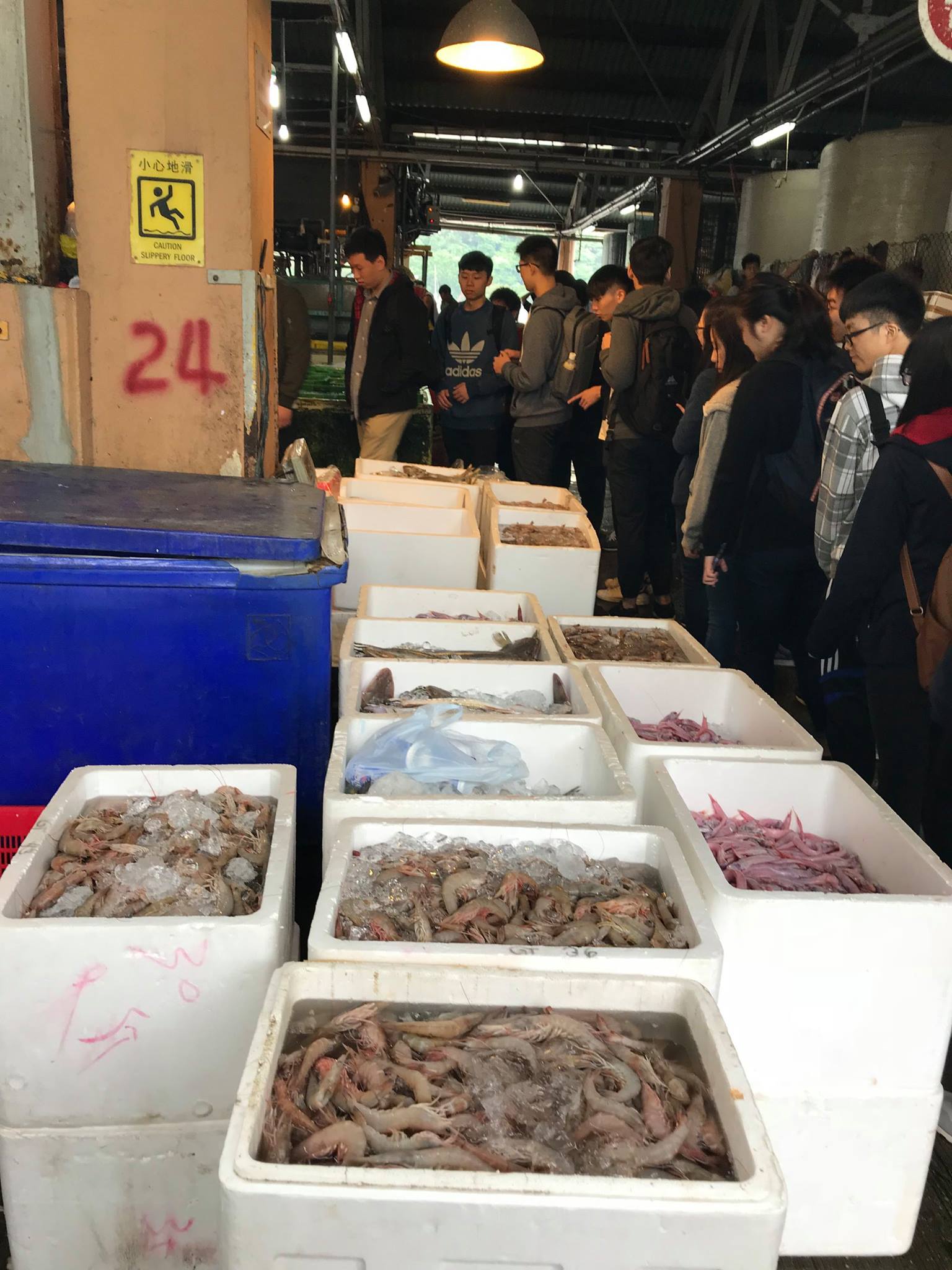 Visit to Fish Marketing Organization (FMO)  - Photo - 1