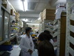 Visit to the Pharmacy Department of Caritas Medical Centre - Photo - 13